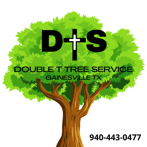 Double T Tree Service